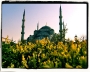 Mosques around the world